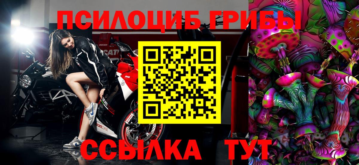 Галлюциногенные грибы Psilocybe  Вход с VPN  Коломна 
