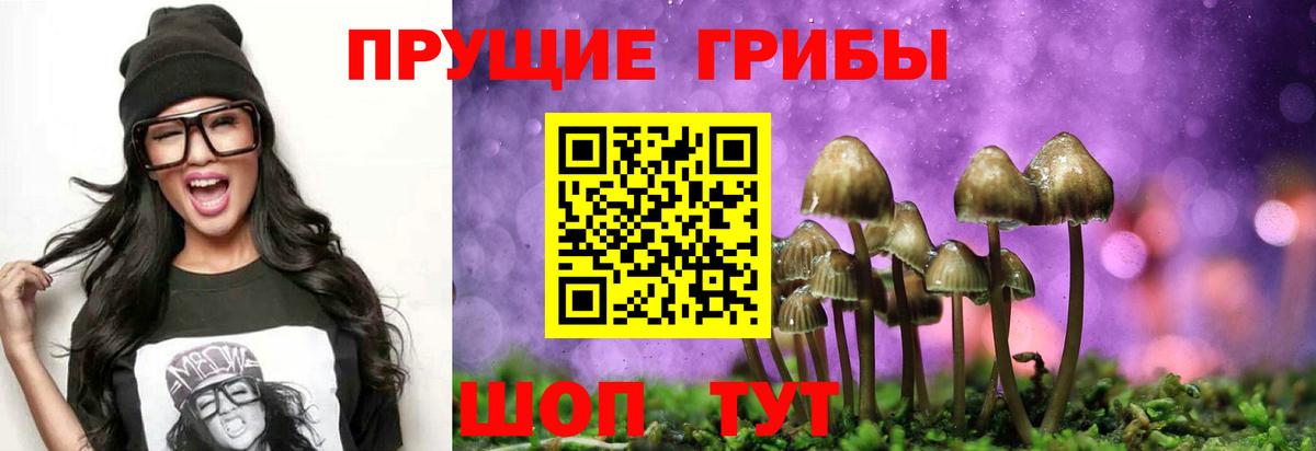 Псилоцибиновые грибы Magic Shrooms Коломна